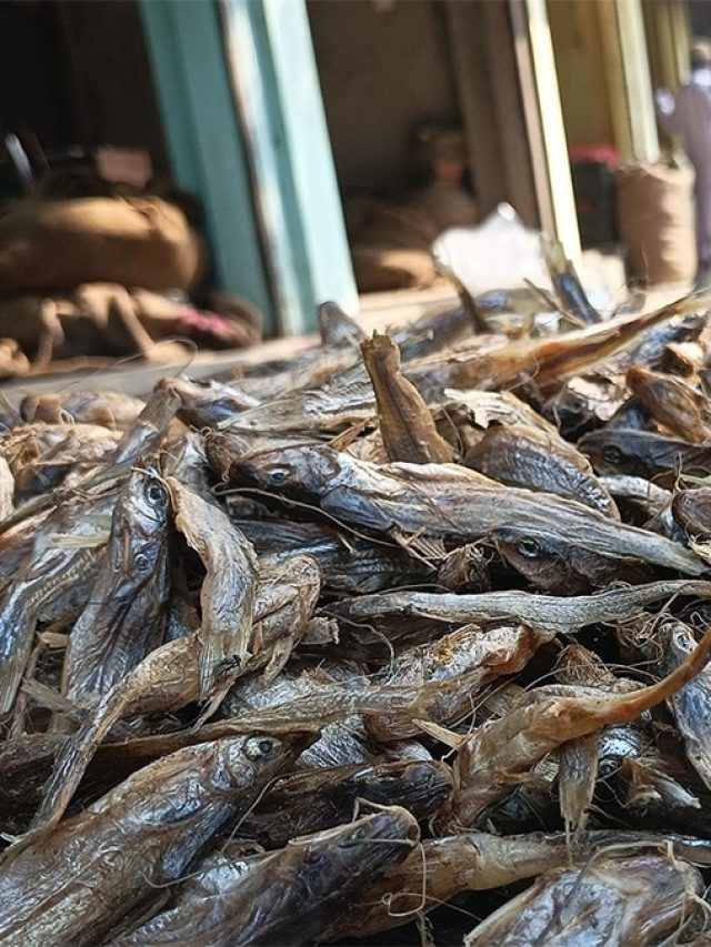 তেল- মশলা দিয়ে কষিয়ে শুঁটকি খান? কাদের জন্য এই মাছ ক্ষতিকারক