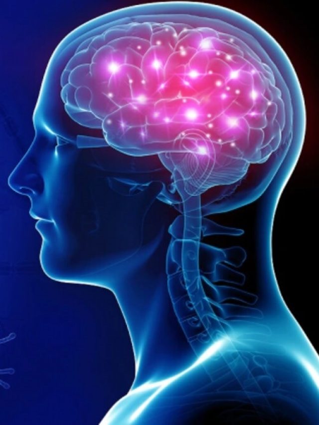 মাত্র ২ মিনিটে Reboot হবে ব্রেন, শত্রুও ভয় পাবে আপনার বুদ্ধিকে