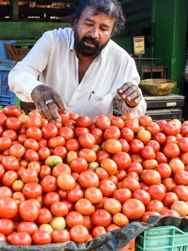 টমেটোর দামে ছ্যাঁকা, বদলে ব্যবহার করুন এগুলি