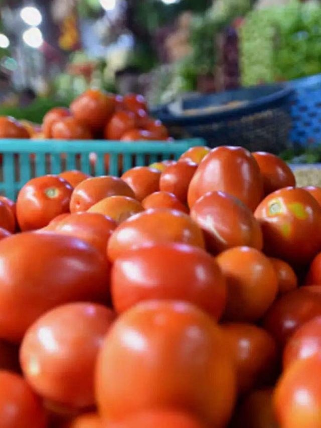 টমেটোকে বাংলায় কী বলে? জানলে হাঁ হবে মুখ