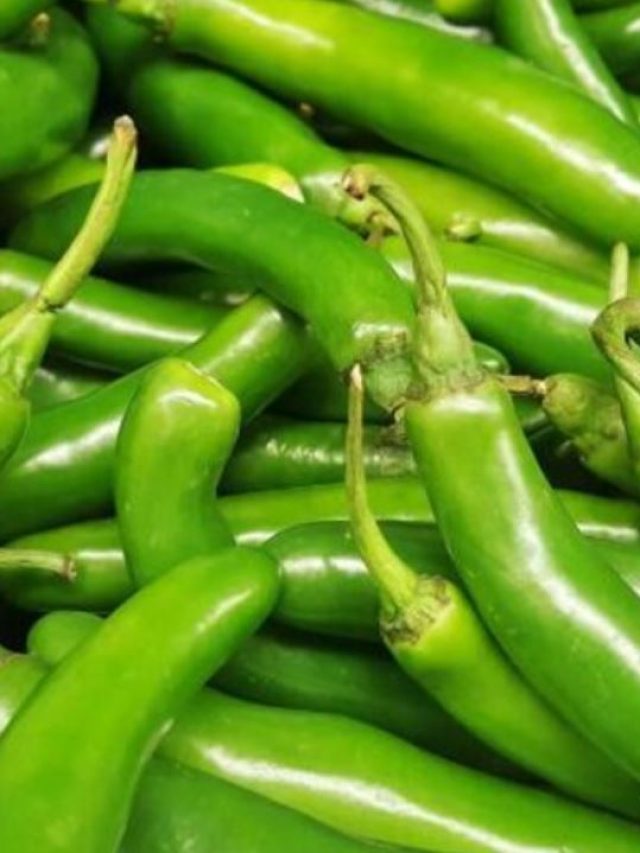 কাঁচা লঙ্কা বেশি খান?