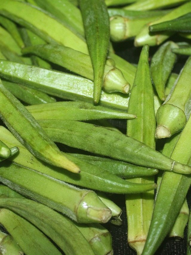 ক্যানসার প্রতিরোধক, ঢেঁড়সের উপকার জানলে রোজ খাবেন