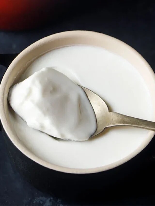 GK Question: কোন প্রাণীর দুধ থেকে দই হয় না? বলুন তো...