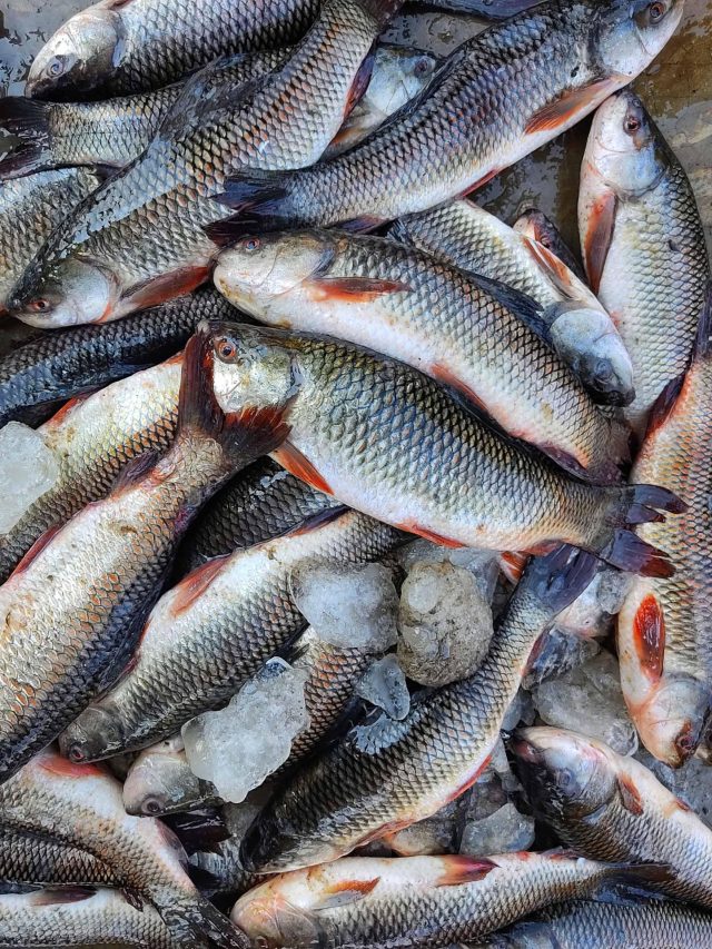 বাজার থেকে আনা মাছে তীব্র দুর্গন্ধ? ৩ উপায়ে ধুলেই সব উবে যাবে