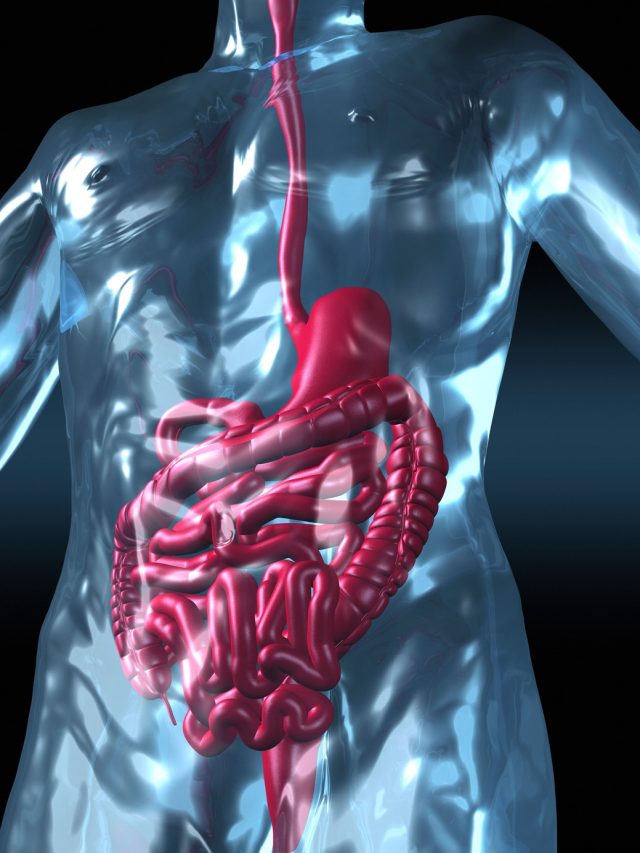 হজম ভালো রাখতে মেনে চলুন ৪ অভ্যাস