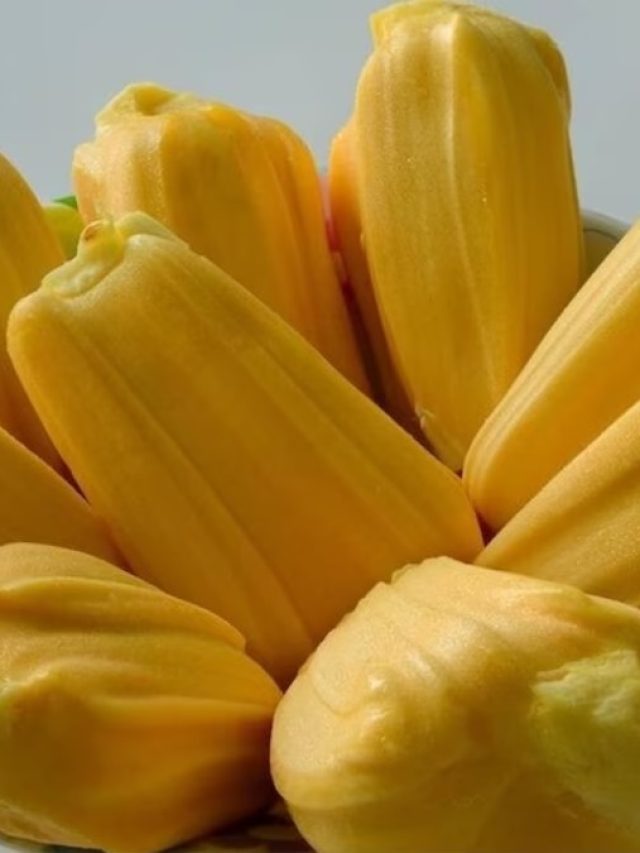 ইমিউনিটি বাড়ায় কাঁঠাল, এই ফল খেলে যা যা লাভ মিলবে...