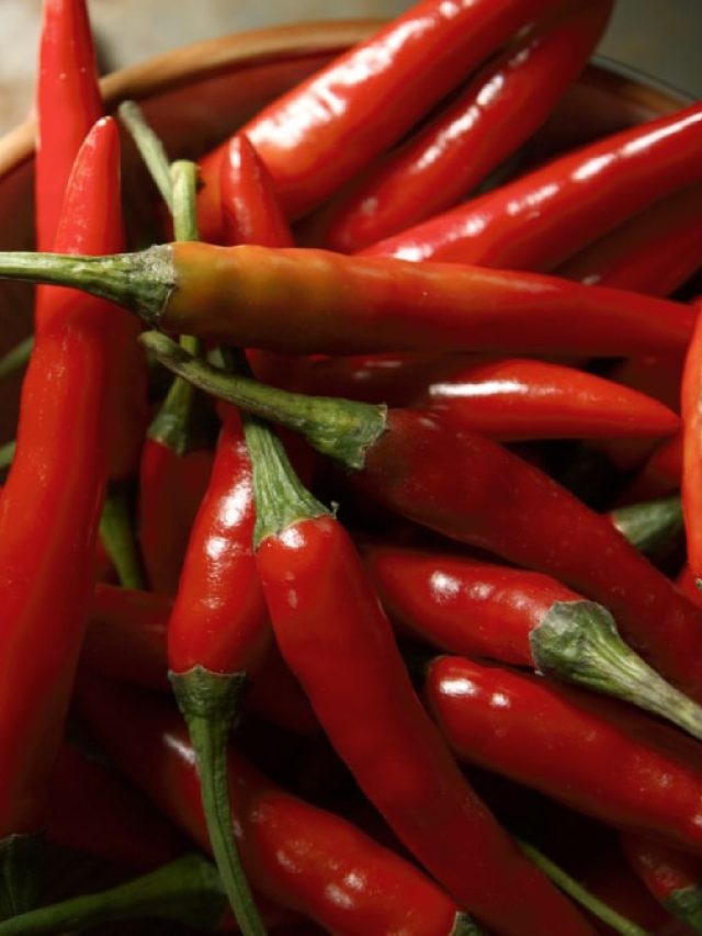 হঠাত্‍ লঙ্কা কামড়ে তুমুল ঝাল, কী করবেন?