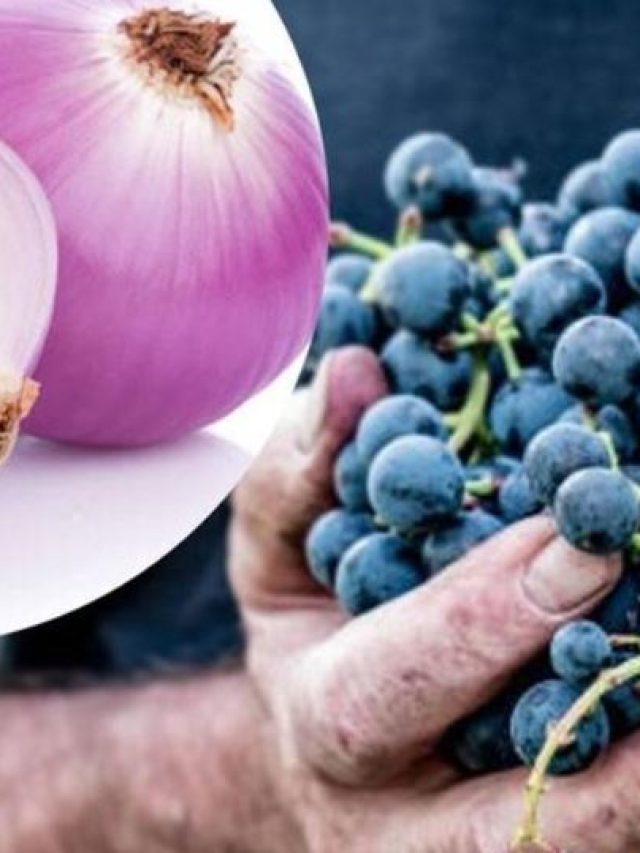 আঙুর-পেঁয়াজ খেলে ভালো থাকে হার্ট, ৫ ফাটাফাটি ফুড কম্বিনেশন