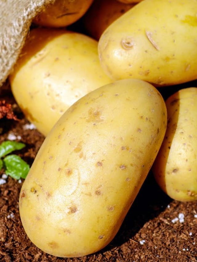 শুধু আলু খেয়েও কমে ওজন, এক মাসে অন্তত ৪ কেজি