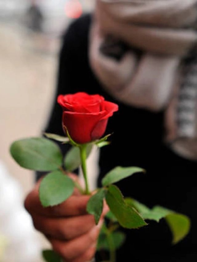 কেউ কি আপনাকে গোপনে ভালবাসে? এই ৮ লক্ষণেই বুঝবেন