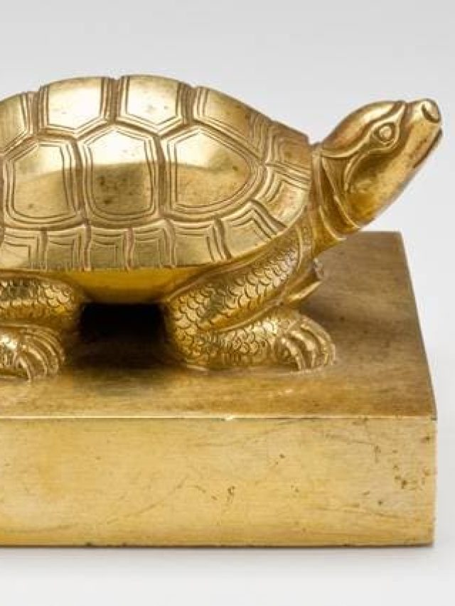 অর্থের বৃষ্টি চান? ঘরের এই দিকে রাখুন ধাতব কচ্ছপ