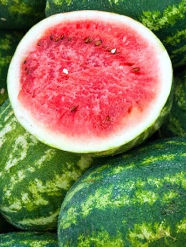 বলুন তো তরমুজের ইংরেজি কী? অনেক লোকই জানে না