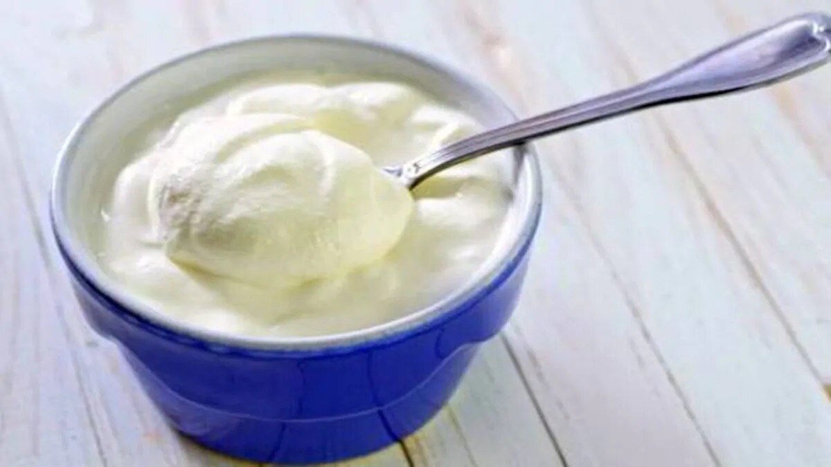 Dahi और Yogurt को एक समझते हैं आप? इन 5 पॉइंट में समझिए अंतर Dahi and
