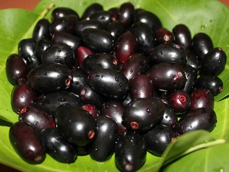 5 reasons to have jamun this summer