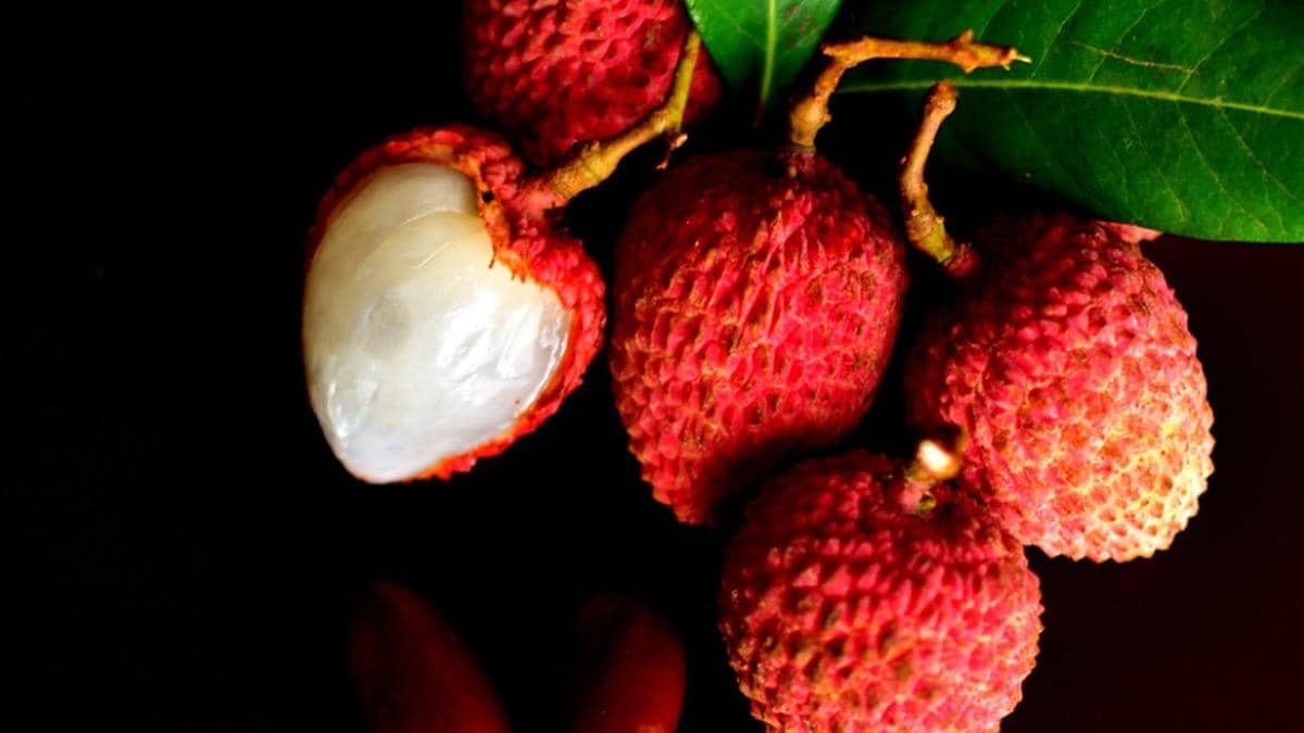 देसी या चायनीज, कौन सी लीची खरीद रहे हैं आप? How to find difference