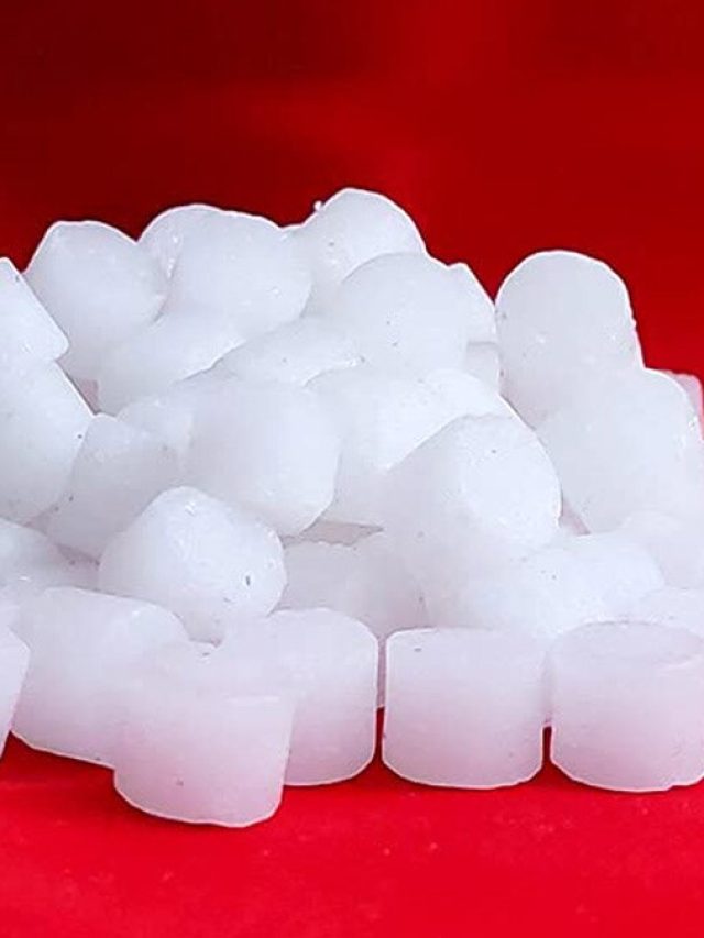 বাস্তু দোষ দূর করে কর্পূর, জানুন কীভাবে ব্যবহার করবেন