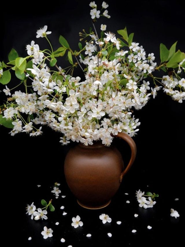 এই ৫ টিপস মানলে ফুলদানির ফুল দীর্ঘদিন সতেজ থাকবে