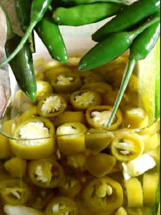 মাত্র ২টি উপকরণে কাঁচালঙ্কার আচারের রেসিপি