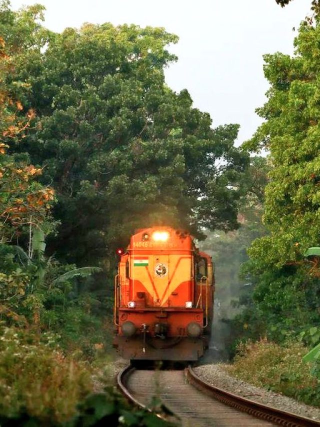 ভারতের কোন রাজ্যে রেললাইন নেই? বলতে পারলে আপনি জিনিয়াস