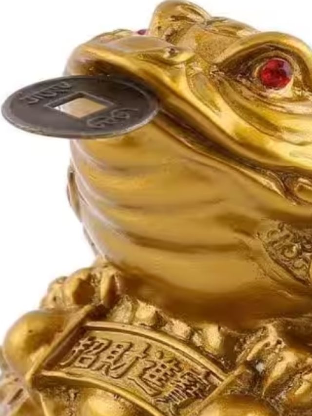 ঘরে রাখুন এই জিনিস, অর্থকষ্ট ঘুচবে