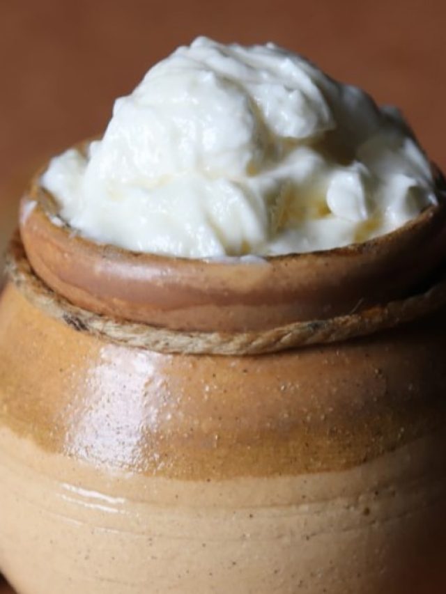 বর্ষায় প্রতিদিন দই  বাড়াতে পারে স্বাস্থ্য বিপদ