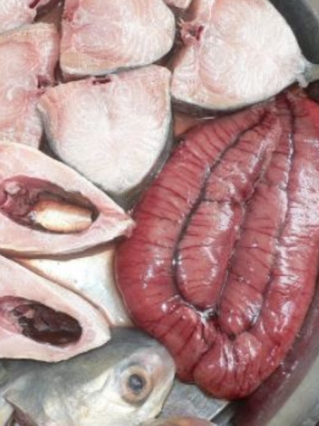 ইলিশ মাছের ডিমের উপকারিতা জানেন?