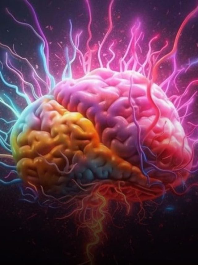 প্রচণ্ড বুদ্ধিমান করে এই ৭ খাবার, ক্ষুরধার মগজও