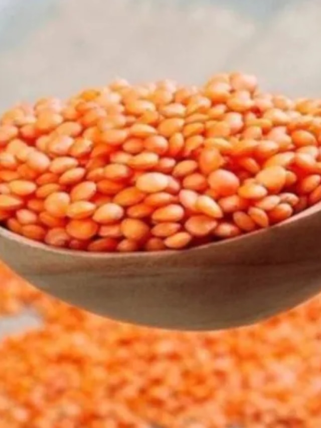 মুগ না মুসুর, কোন ডাল খেলে কমবে ওজন ?