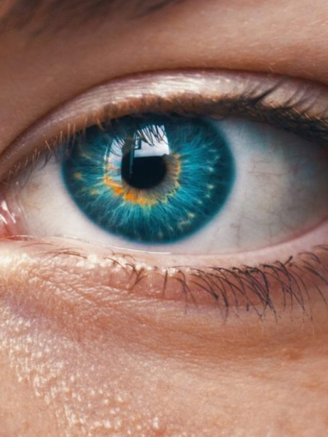 একটানা ল্যাপটপে কাজ, হতে পারে চোখের এই মারাত্মক সমস্যা