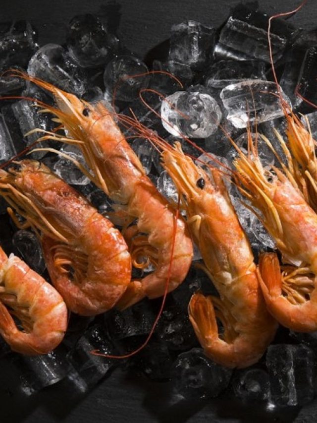 গলদা ও বাগদা চিংড়ির পার্থক্য কী? অনেক আচ্ছা বাঙালিও জানে না