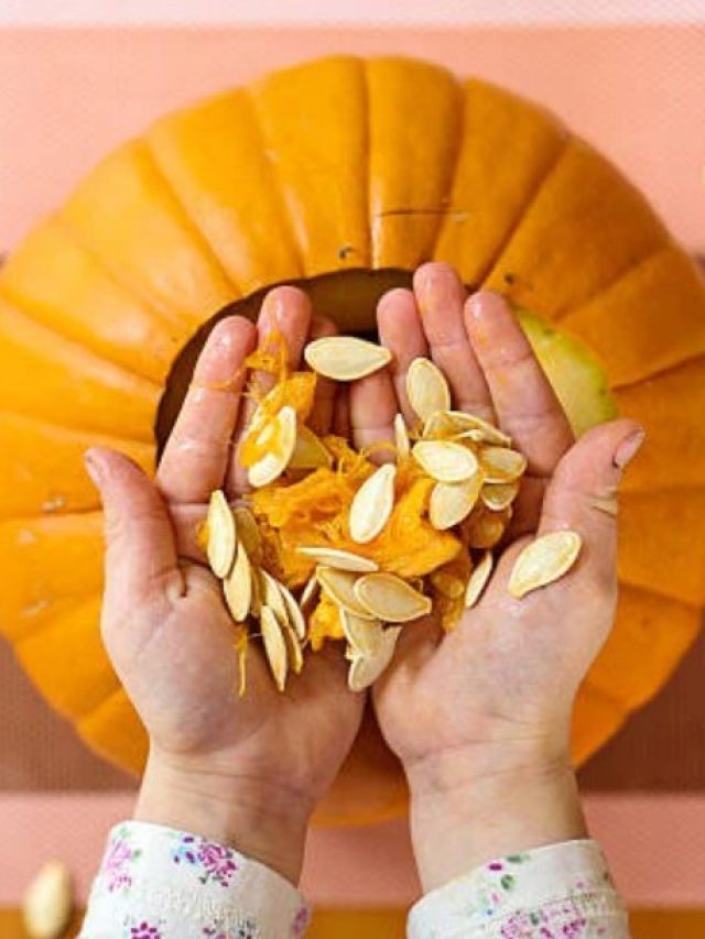 বুড়ো বয়সে পুরুষত্ব আর ঝিমিয়ে পড়বে না, লাগবে শুধু  কুমড়োর বীজ