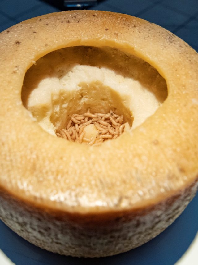 10 Foods Banned Around The World