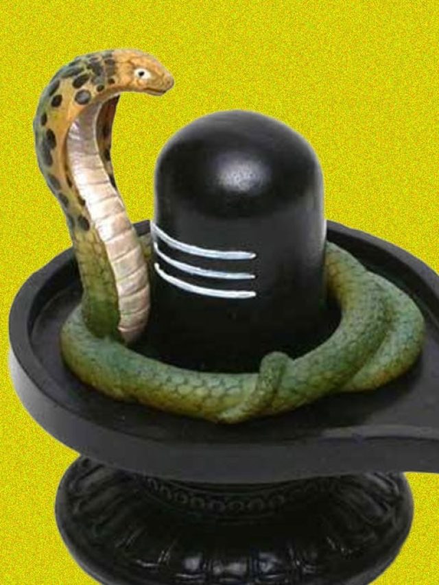 এই শ্রাবণেই বাড়িতে প্রতিষ্ঠা করুন শিবলিঙ্গ, জানুন কী কী নিয়ম মানতে হবে