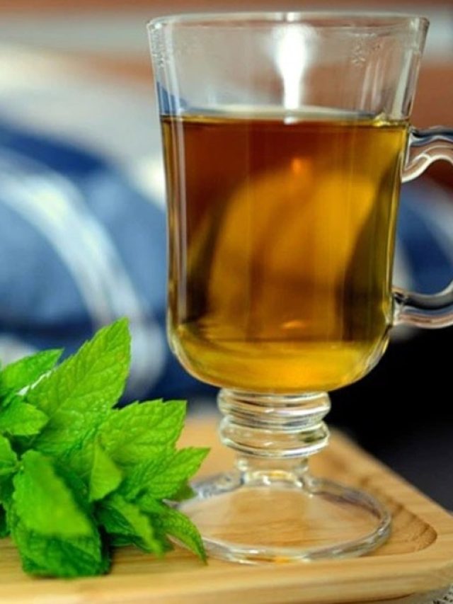 নানা রোগ কবে তুলসী চায়ে, কীভাবে খেলে উপকার?