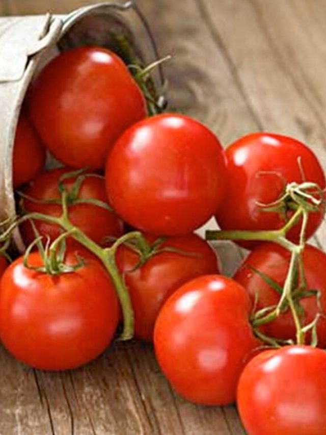 টমেটো কার্যত 'বিষ', এঁরা ভুলেও খাবেন না