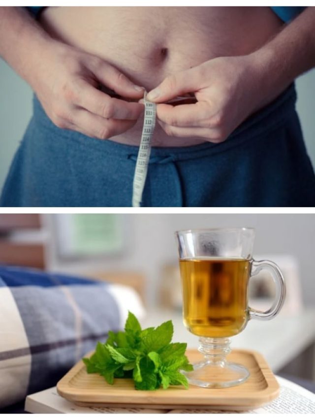 পুজোর আগে এক মাসে ভুঁড়ি কমান তুলসির টোটকায়!