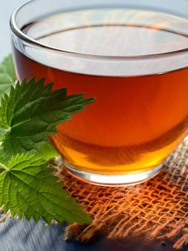 ভুঁড়ি নিয়ে ভুগছেন? কমবে তুলসির টোটকায়!