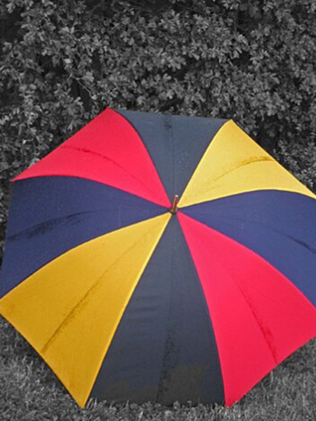 গরম বা বৃষ্টি থেকে বাঁচাবে ছাতা! কেনার আগের টিপস