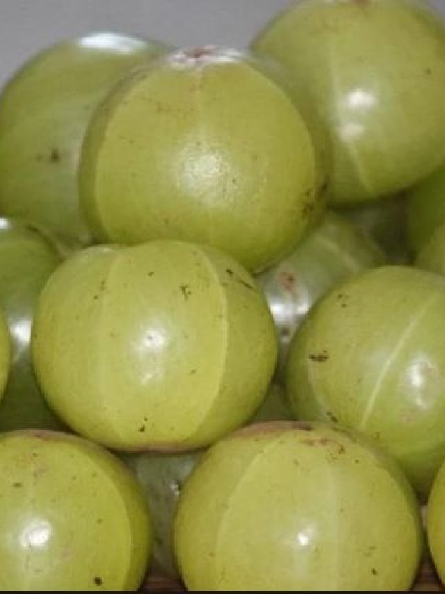 দুপুরে খাওয়ার পর এক টুকরো আমলকি, 'ম্যাজিক' হাতেনাতে