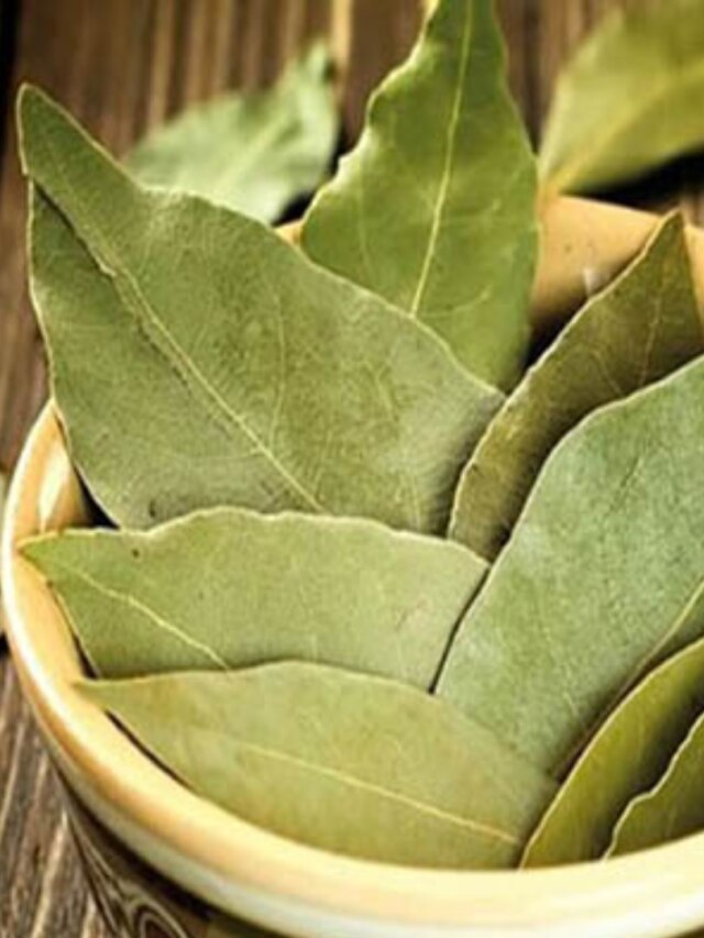 সমস্যা হবে দূর, ইচ্ছাপূরণ করবেন, জানুন তেজপাতার তন্ত্র টোটকা