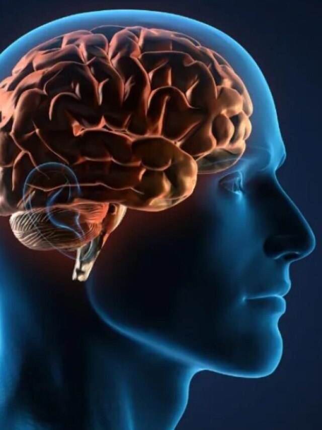 ব্রেন 'পচিয়ে' দেয় এই অভ্যাস, আজই কুকাজ বন্ধ করুন