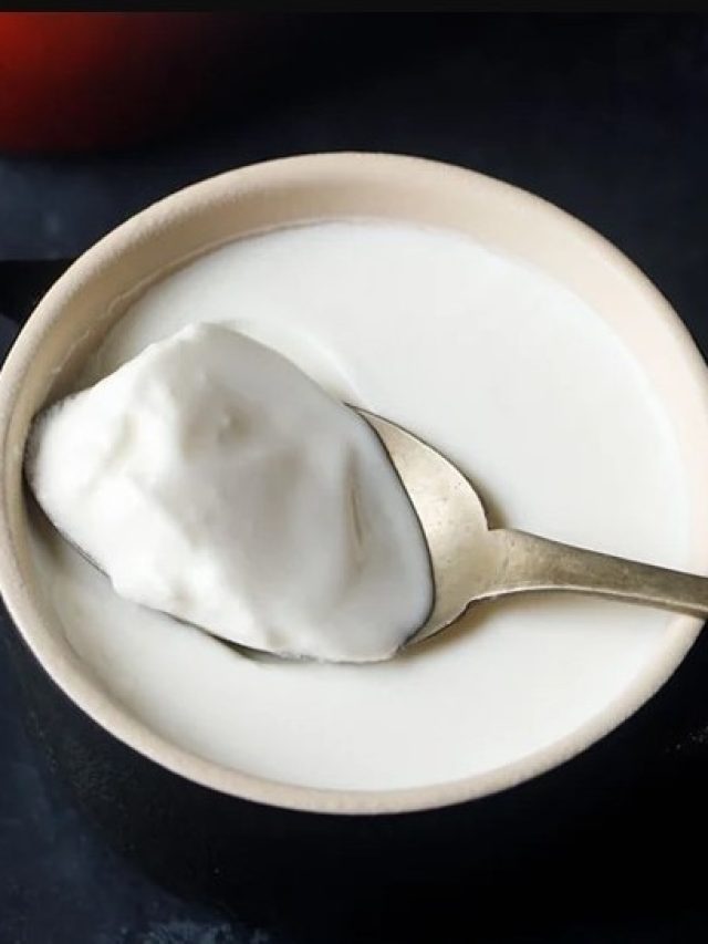 ট্যালট্যালে হবে না, ঘরে দই পাততে এই ৮ ভুল ভুলেও নয়, জেনে নিন