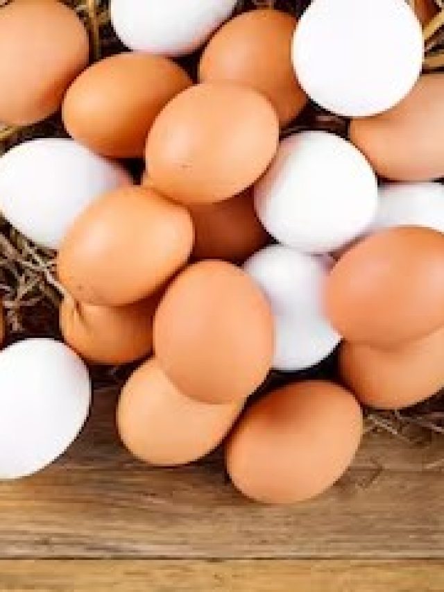 ডিমের সঙ্গে কোন খাবার খেলে কোষ্ঠকাঠিন্যের সমস্যা বাড়ে ?