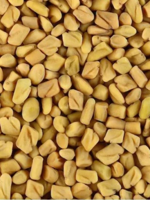 চায়ে মেশান মধু-মেথি, ওজন ঝরবে হুড়মুড়িয়ে