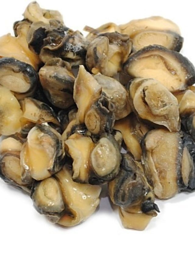 'গরিবের মাংস' গেঁড়ি গুগলি, খেলেই কমবে ওজন-বাড়বে দৃষ্টিশক্তি