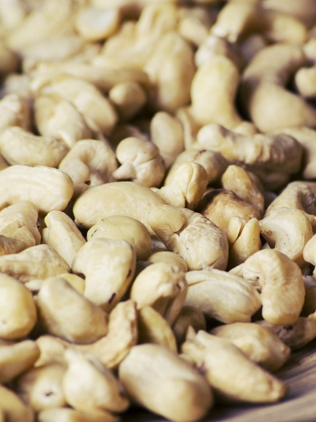 রক্তে সত্যি কি  কোলেস্টেরল বাড়ায় কাজু? জানুন সত্যিটা