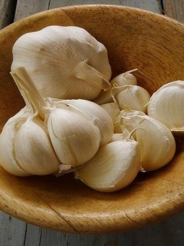 খালি পেটে কাঁচা রসুন খেলে কী হয়?