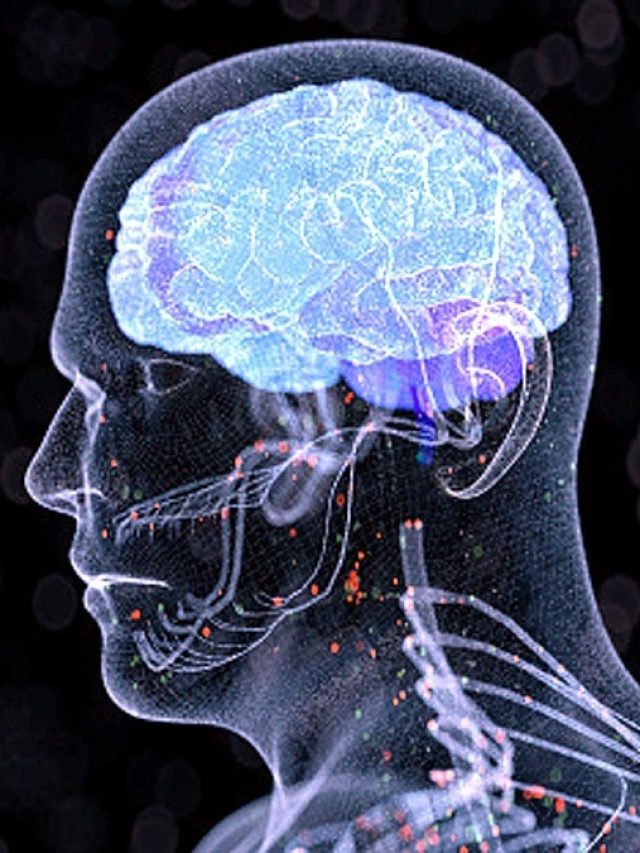 এই ১০ অভ্যাস যা অজান্তেই আমাদের মস্তিষ্কের ক্ষতি করে, জেনে নিন