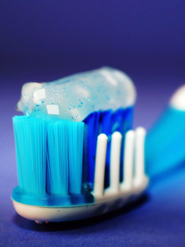 আপনার টুথপেস্টটি আমিষ না নিরামিষ? জানার সহজ টিপস