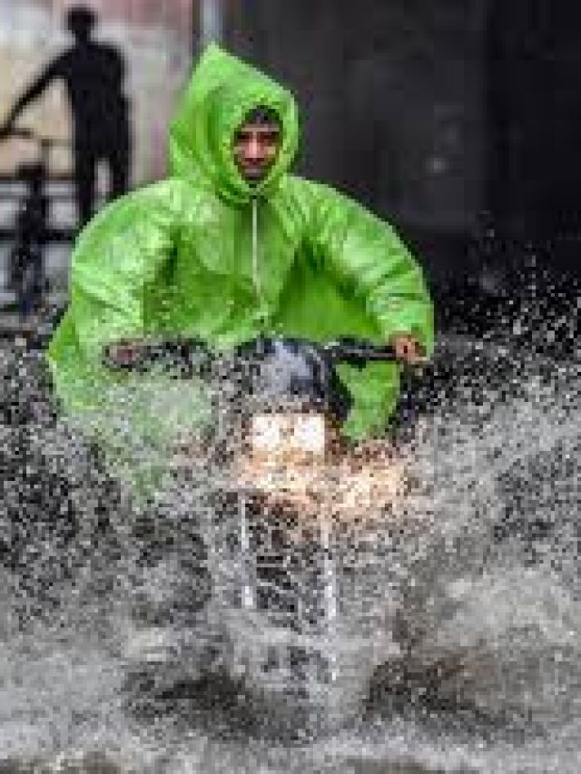 কোন ধরনের রেনকোট সবচেয়ে কার্যকরী? রইল